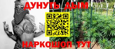 шишки Жуковский