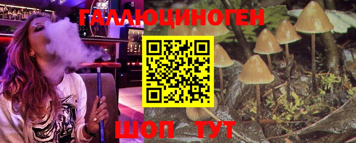 Нововоронеж  Псилоцибиновые грибы Psilocybe  Вход с VPN 