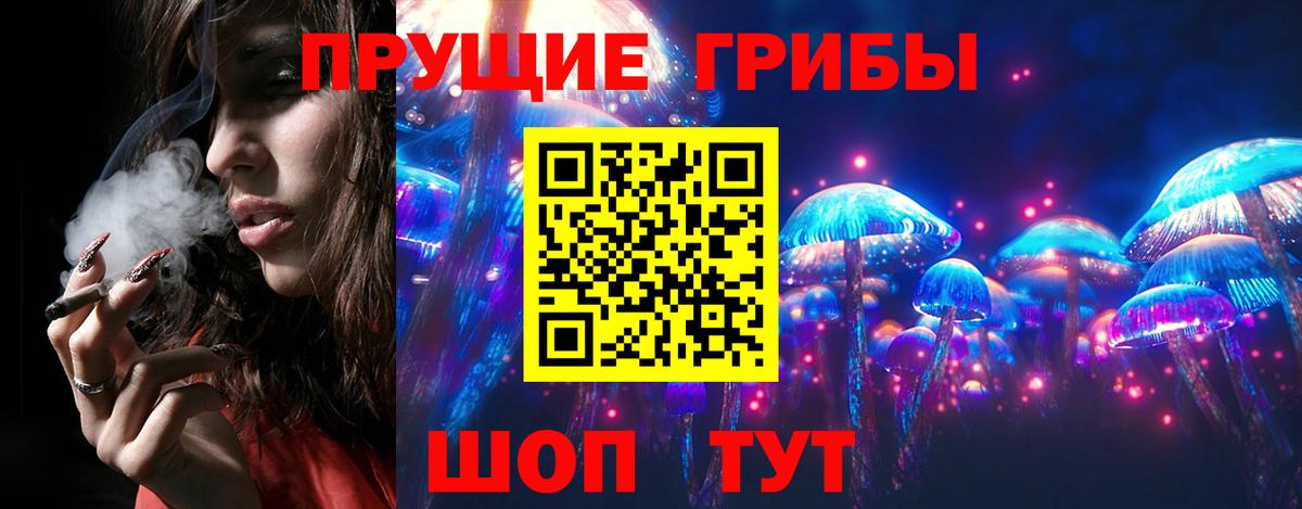 Галлюциногенные грибы мухоморы Нововоронеж