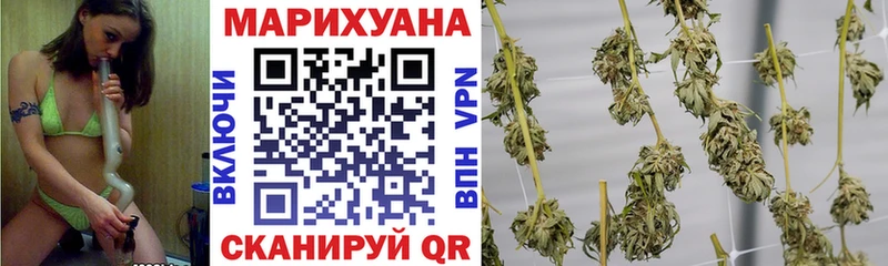 Бошки Шишки семена  продажа наркотиков  МЕГА сайт  Нововоронеж 